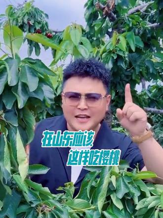 山东人就应该这样吃樱桃#樱桃季让我们一起摘樱桃吧 #新鲜采摘乐趣多