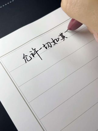 谁还没用过这支钢笔我都会伤心的 允许一切如其所示 接受一切事与愿违#手写 #摘抄 #文字 @抖音小助手