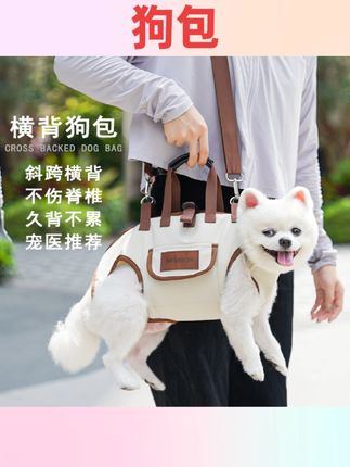 #宠物用品 中小型狗狗猫咪外出便携单肩手提斜挎包四用宠物背包用品牵引比熊#养狗人 #养狗经验分享 #科学养宠 #国庆节好物