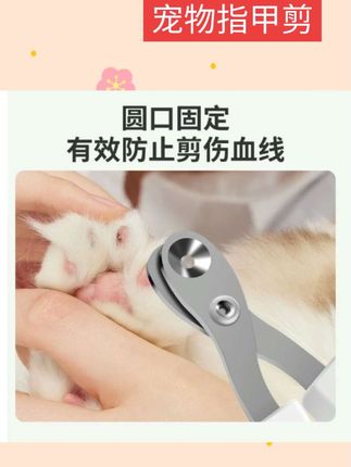 #萌宠推荐官 猫咪指甲剪专用猫指甲刀圆孔猫指甲钳剪指甲神器新手剪刀宠物用品#每日分享 #强烈推荐 #好物推荐🔥 #宠物猫可爱