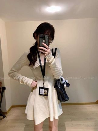 纯色设计感内搭针织短裙女秋季新款小个子四色收腰显瘦连衣裙#黑色高级感穿搭 #今日穿搭 #裙装穿搭 #收腰显瘦