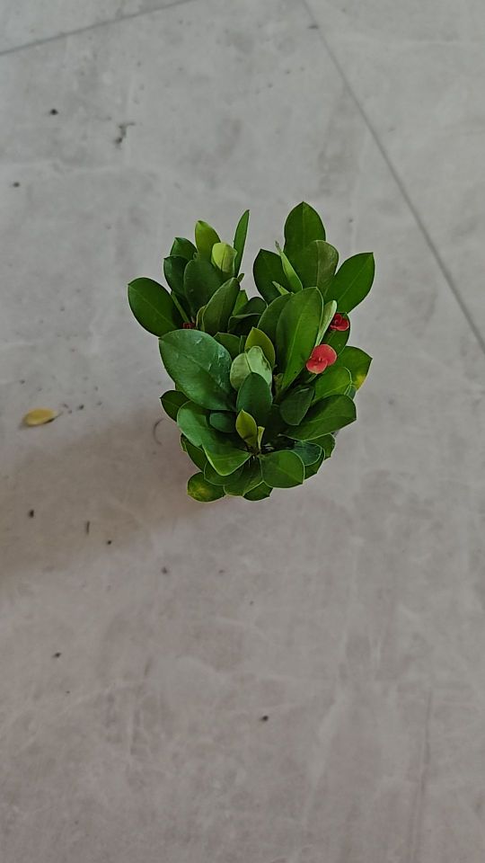 这能直播间相差太大了吧,骗子#我在抖音买买买