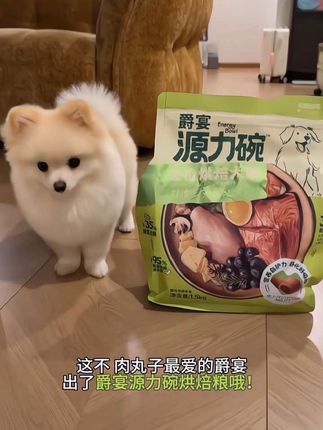 爵宴源力碗新品全价烘焙粮鸡肉三文鱼配方1.5kg*1包狗粮营养低敏#爵宴源力碗 #烘焙狗粮 #狗粮推荐 #爵宴狗粮 #萌宠好物