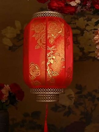 #花灯 #宫灯#牡丹灯笼