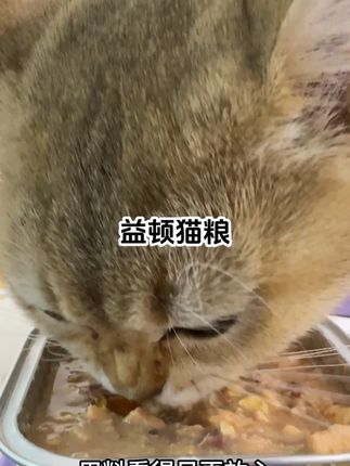 湿粮就看这儿#益顿#益顿猫粮#定制猫粮