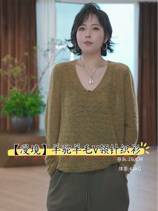 【漫境】秋季极简主义空气感baby羊驼羊毛V领针织衫#针织衫 #极简穿搭 #秋冬穿搭 #高级感穿搭 #魏老板私服