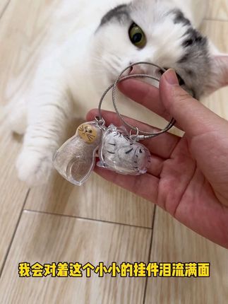 小猫咪的毛不要扔,做成挂件永远陪着你, #萌宠好物 #礼物推荐 #养猫新手