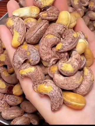 带皮大颗粒腰果#干果坚果 #老人孩子都爱吃#休闲零食推荐