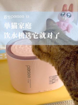 终于让我找到适合单猫家庭的宠物饮水机了! #派兮 #宠物饮水机 #单猫家庭 #萌宠好物 #猫喝水