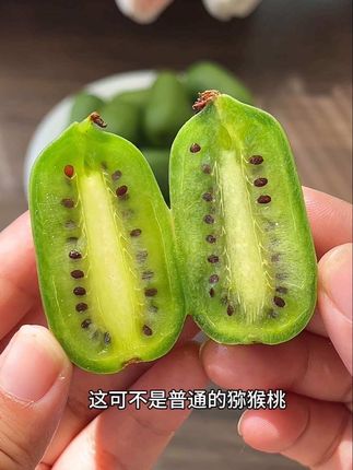 一年就这一季,可以带皮吃的软枣猕猴桃!鲜嫩多汁真的巨好吃!这是今年的头茬果!回购了三四箱了,刷到的姐妹赶紧冲#软枣猕猴桃#口感特别好#好吃到停不下来#水果#应季水果