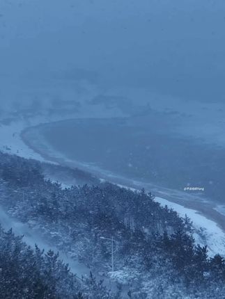 去年12月7号威海的大雪 期待今年威海的冬天. #雪 #看海 #威海 #去年冬天