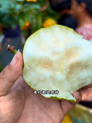 馋哭了吧!专门为解暑而生的梨子!高温天气收到记得冰一下,口感冰爽甜脆!#百里洲砂梨 #百里洲翠冠梨 #翠冠梨