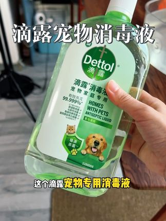 滴露宠物家庭必备#滴露宠物消毒液 #滴露消毒液#宠物除臭