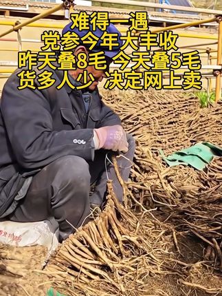 #三农流量扶持计划 #党参 #党参泡水 #党参汤 #抖音助农