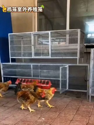 鸡笼子家用鸭鹅兔养殖加厚加密防鼠笼网片鸡笼兔子笼鸽笼户外大号养殖笼#结实耐用 #多种规格可选 #经济实惠,超便宜超划算#三农养殖 …