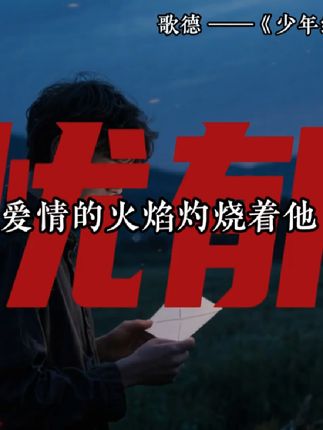 爱情如火焰,燃烧着少年的忧郁与渴望。🌌《少年维特之烦恼》中的情感,是否也映照了你的心