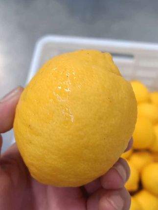 #农产品推荐官 #中方甄选