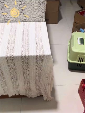A股狂飙的三重密码,股民终于等来大行情?【特别提示:股票有风险,投资需谨慎。】#A股#财经科普#投资知识#股民心声