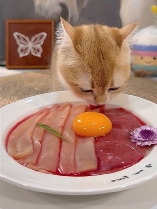 这也太好吃了,猫猫都馋哭了~ #养猫 #吃货猫 #生骨肉 #喂猫 #小馋猫
