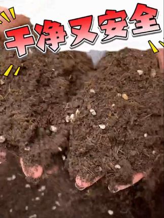 #腐殖土#营养土#花土#土壤改良#养花土壤推荐
