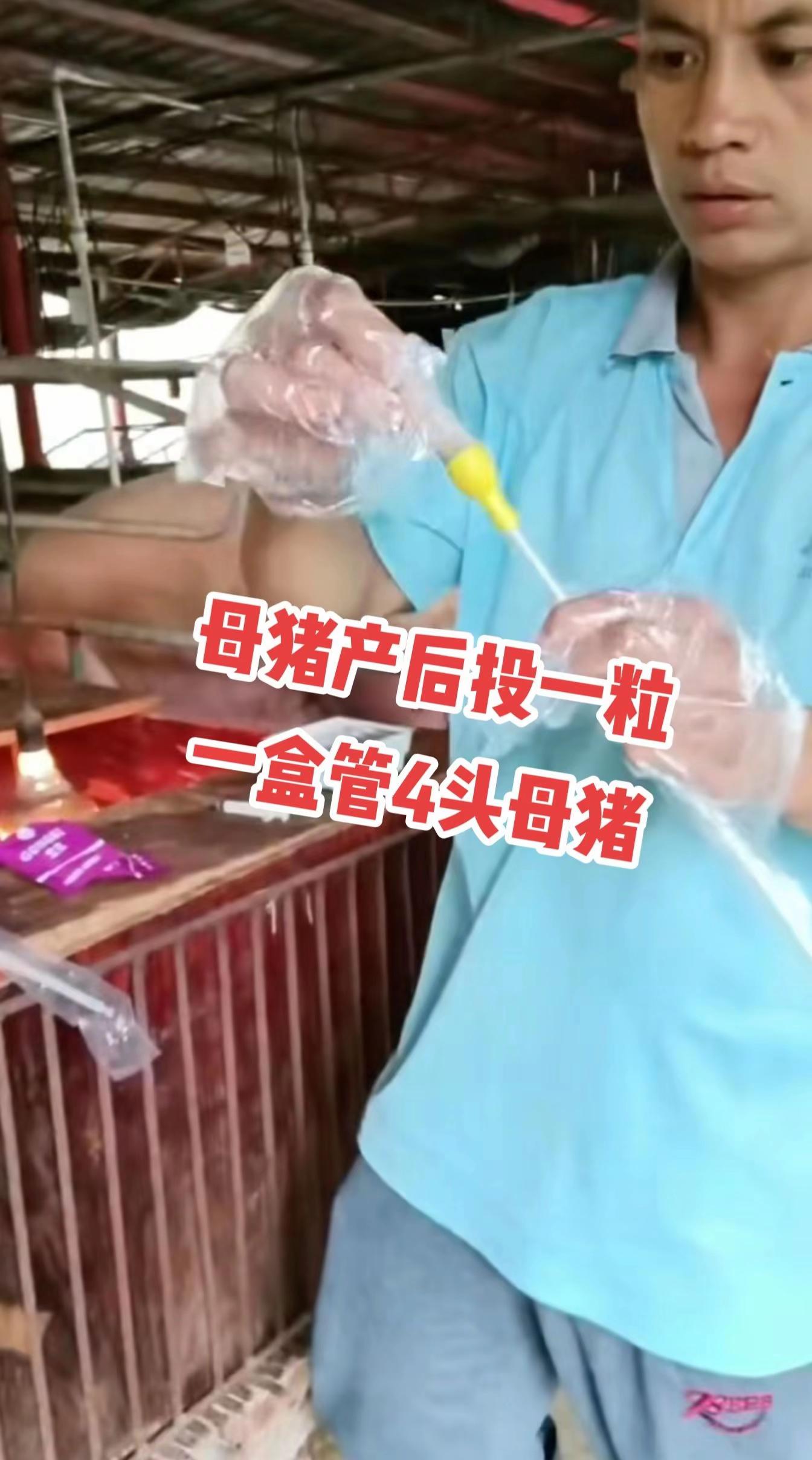 #养猪人 #养殖技术