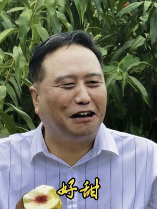 谁说秋天没有好桃吃? 房县化龙堰镇李堰村200亩黄金白玉桃正挂枝等你! 阳光晒透的果子,果皮泛着温柔的金黄,轻轻剥开,雪白果肉裹着清甜汁水,咬一口又脆又嫩,甜意不齁人,满是秋日的清爽劲儿。放眼望去,连片桃林里全是沉甸甸的果子,随手摘一个都新鲜。 趁着秋光正好,带上家人朋友来这儿,亲手摘一筐“黄金白玉”,把秋天的甜带回家~#李堰村黄金白玉桃熟了 #乡村振兴有滋味 #秋日采摘好去处 #乡村纪事 #抖音新农人