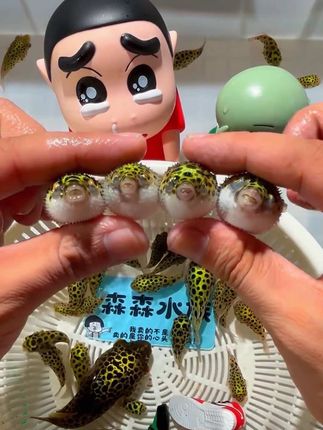这是什么奇怪生物呀🤣 #上热门🔥#萌宠出道计划#儿童玩具#宠物 #萌宠