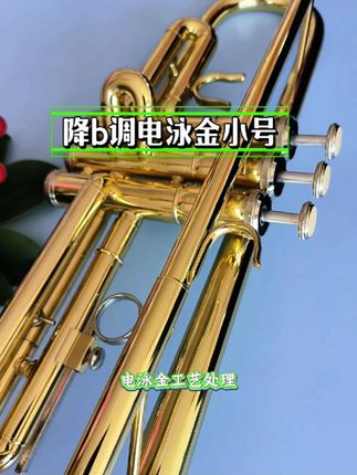 降b调电泳金小号#小号#小号推荐#爆款热卖中