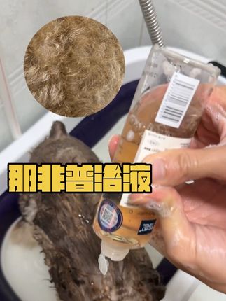 推荐一款宠物店都在用的浴液,毛孩子皮肤问题在家就能轻松处理 #那非普浴液 #狗狗护理 #养狗经验分享