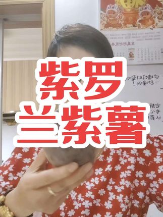 紫罗兰紫薯5斤18.9,三种规格大小可选,现挖现发粗粮膳食纤维,健康好吃