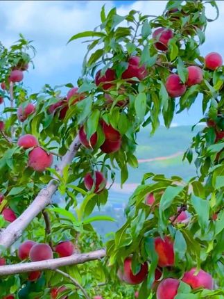 #永远不要听一个人跟你说什么      而是要去看一个人为了你做了什么     毕竟说话永远都不需要成本……#视频同款 #穿搭