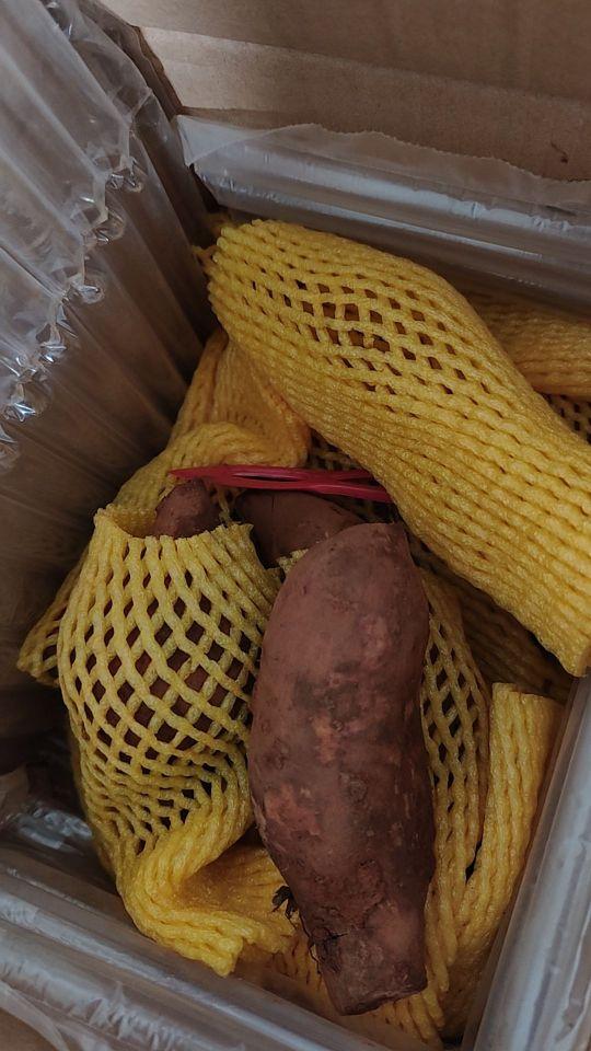 新鲜度:新鲜 包装品质:可以 口感味道:脆甜汁水多 商品分量:足 性价比:高 物流速度:有点慢,#我在抖音买买买