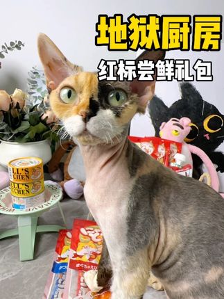 没想到地狱厨房居然出了红标超值尝鲜礼包,19块9到手12件,平时真的都超贵的,刷到千万不要错过#萌宠好物 #养猫人 #猫罐头 #猫零食 #地狱厨房