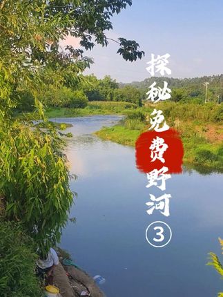 探钓野河,总是出乎意料,今天上了四条鱼,跑了两条!#钓鱼 #钓鱼人 #野钓 #钓鱼佬永不空军#钓鱼的乐趣只有钓鱼人懂 #钓鱼佬永不空军