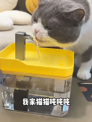 宠物自动饮水机,自动循环静音过滤水龙头,猫狗的喜爱物件 #宠物自动饮水机 #宠物自动饮水机推荐 #好物推荐🔥 #超便宜超划算