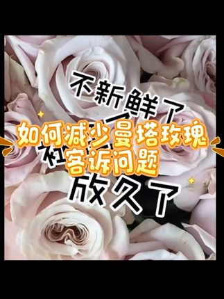 如何减少曼塔玫瑰客诉问题!冰莓粉一瓶包邮!#花艺教程 #花束包装 #今日分享 #零基础花艺 #原创视频