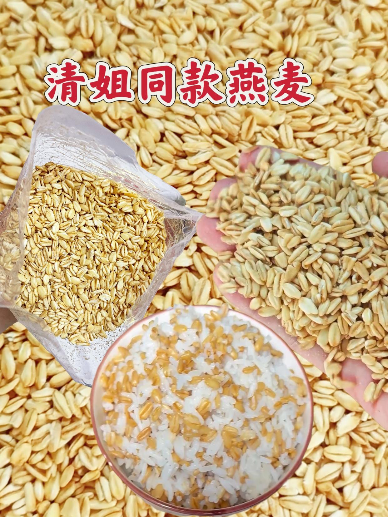 朋友们,清姐同款燕麦,它全部是新鲜发货粒粒饱满,我们三餐煮饭煮粥都可以下一点一起煮,饱满糯糯燕麦牛奶暖身暖胃,早餐打豆浆等或点心夜宵来一碗真的很不错,喜欢吃的朋友们,赶紧安排~#燕麦#清姐同款#清姐同款燕麦#生燕麦#潮汕