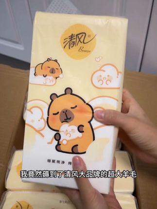 家里有孩子纸用的真的很快,还好有清风家这款挂抽纸,整整10大提才这个价,用起来一点也不心疼#挂抽纸#卫生纸#家用纸#宝妈推荐#宝宝可用抽纸
