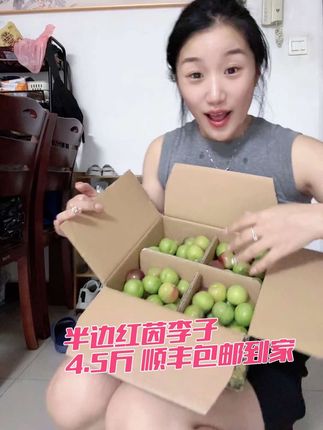 四川半边红茵李子 当季水果 我吃过最好吃的李子了 甜甜的 一点点酸 而且顺丰包邮 #应季水果 #优质农产品 #快来一起尝个鲜 #脆李子 #爆汁