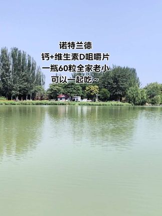 每天2粒,酸酸甜甜的很好坚持!维生素平时得多补充 光喝牛奶含钙量不足 可以这款#诺特兰德#钙片#维生素D#自律 #维生素