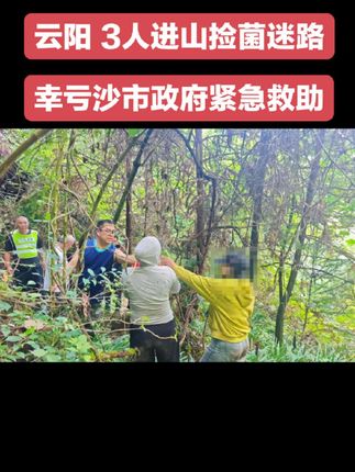 云阳3人进山捡菌迷路, 幸亏沙市政府紧急救助!#顺口溜#安全 #重庆财税#捡菌 #云贵川#云阳创业#财税合规
