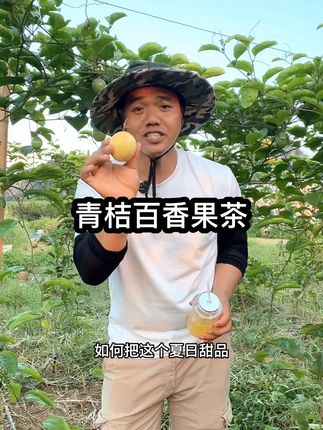 在这个淡热似水的户外也能轻松制作出一杯解署果饮哦#新鲜采摘 #百香果#钦蜜9号百香果 #一学就会系列 #青桔百香果茶 @DOU+小助手