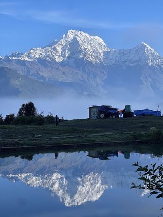 一套永久性免烤美甲#美甲套装 #美甲 #女生美甲 #自己做美甲 #自己美甲