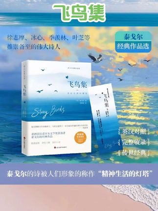 当当网【赠书签*4】泰戈尔经典作品珍藏版 全四册 与飞鸟集并称泰戈尔的短诗双璧 徐志摩、冰心、季羡林、叶芝等伟大诗人 英汉对照#飞鸟集