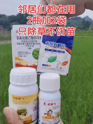 全新升级版水稻苗后除草剂来啦!水稻 旱稻 籼稻 粳稻等都可以使用。2瓶加2袋可打一亩地。只除草不伤一棵水稻苗。#水稻 #水稻苗后除草剂 #水稻种植 #除草剂 #效果好