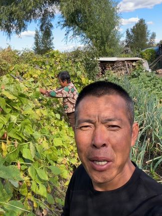 这豆角成是好了😂😂😂