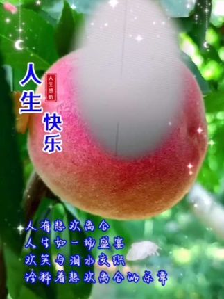 推荐