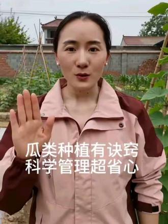 瓜类种植有诀窍,三个科学管理方法超省心 #蔬菜种植 #种菜小技巧 #施肥 #科学种菜