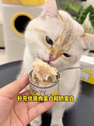 养猫人赶紧来薅~诚实一口新出的补水礼包好划算! 到手足足12件都是猫咪爱吃的~两个月以上猫咪都能吃~#萌宠好物 #新手养猫#抖in萌宠计划 #养猫经验分享