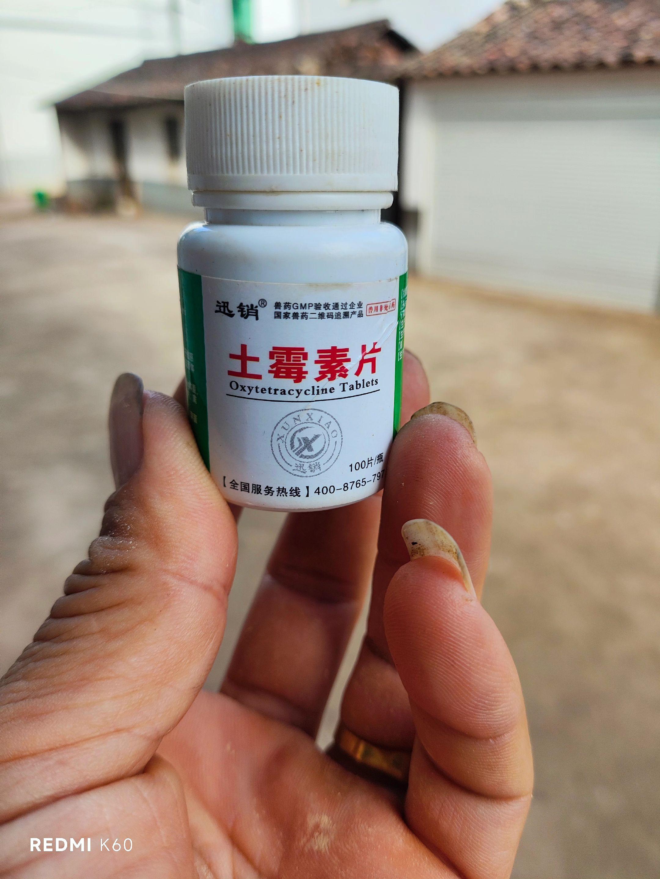 #狗狗#宠物狗 #宠物好货分享 #宠物出道计划 #宠物知识 #宠物狗
